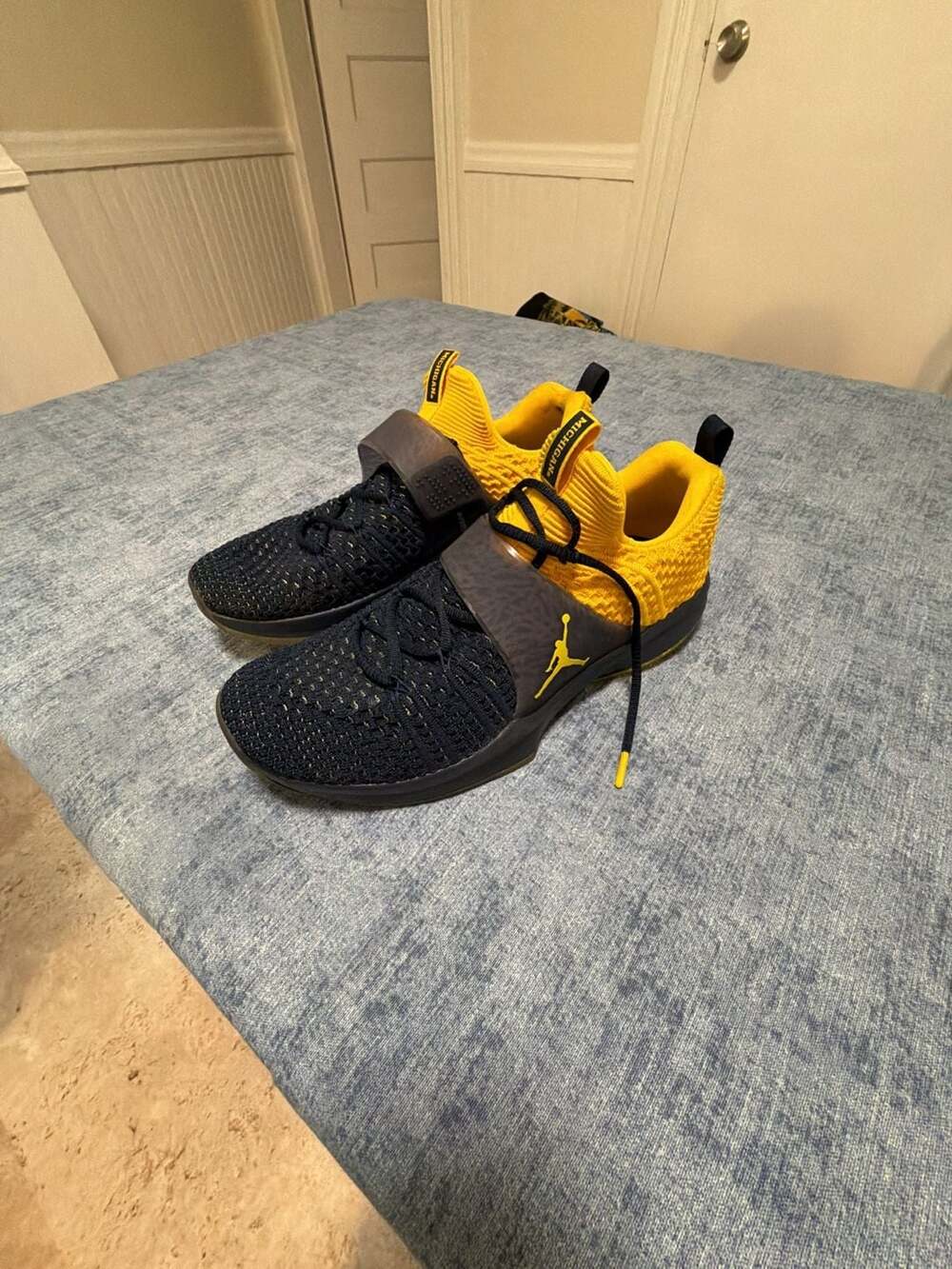 Jordan Zion 2 Michigan PE Player Exclusive Sneakers